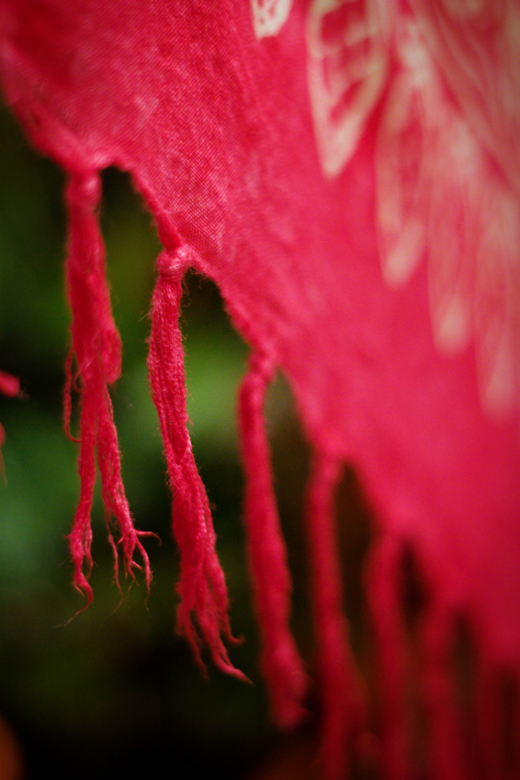 day-346-scent-of-the-sea