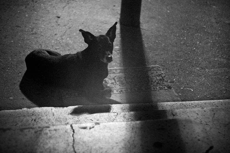 day-302-shadow-of-an-urban-life