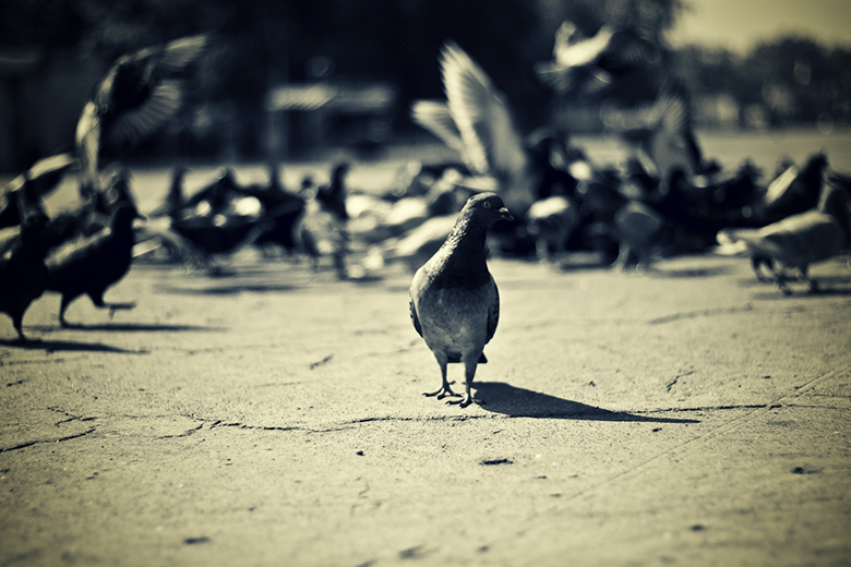day-253-are-you-talking-to-me