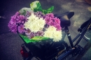 Day 315 – Flowers delivery for a new family