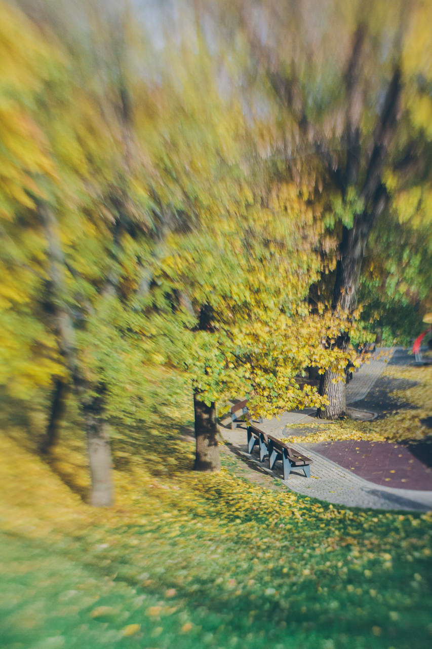 365-lensbaby-teoinpixeland-ro-day-24-5205