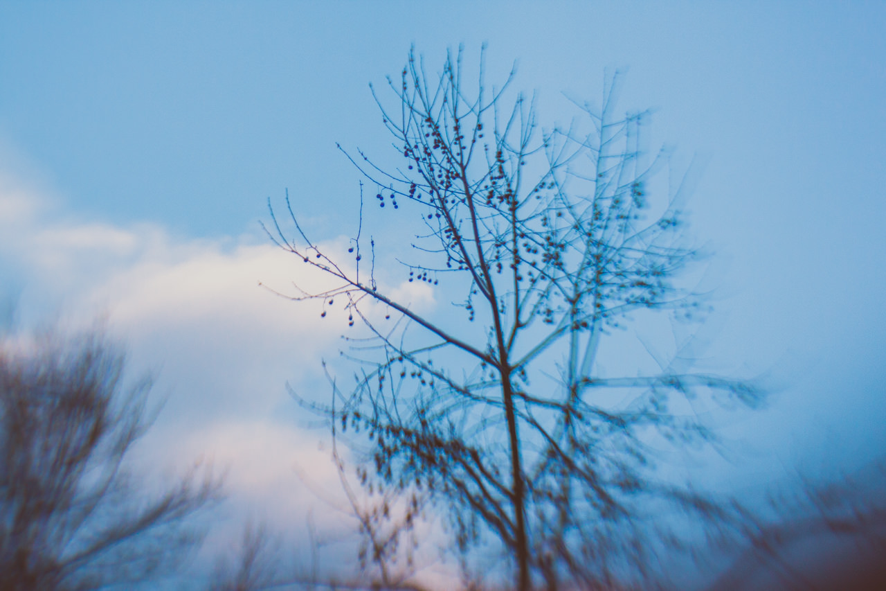 365-lensbaby-teoinpixeland-ro-day-99-9446