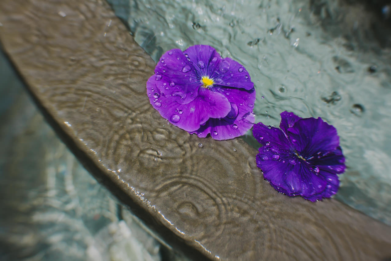 365-lensbaby-teoinpixeland-ro-day-174-6861